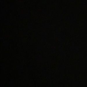 Meet your Posher, Raesean